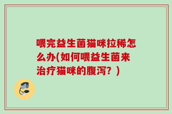 喂完益生菌猫咪拉稀怎么办(如何喂益生菌来猫咪的？)