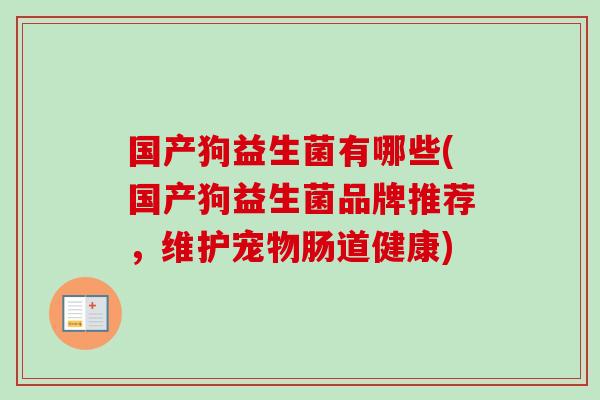国产狗益生菌有哪些(国产狗益生菌品牌推荐，维护宠物肠道健康)