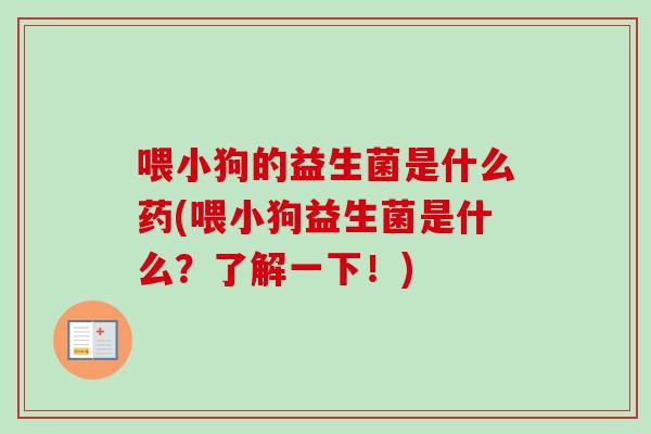 喂小狗的益生菌是什么药(喂小狗益生菌是什么？了解一下！)