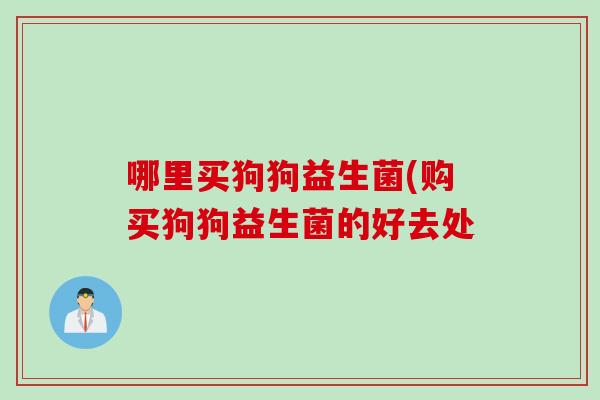 哪里买狗狗益生菌(购买狗狗益生菌的好去处 哪里买狗狗益生菌(购买狗狗益生菌的好去处