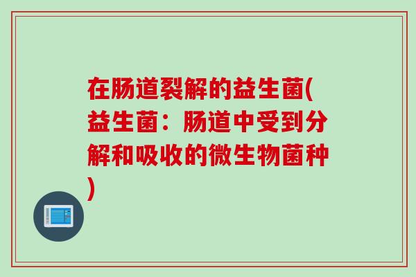在肠道裂解的益生菌(益生菌：肠道中受到分解和吸收的微生物菌种)