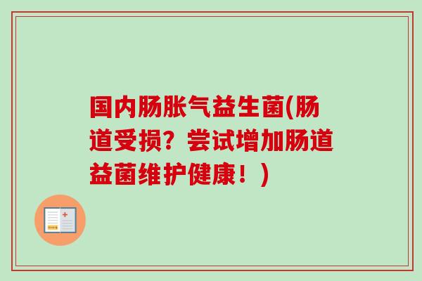 国内肠益生菌(肠道受损?尝试增加肠道益菌维护健康!) 国内肠益生菌(肠道受损?尝试增加肠道益菌维护健康!)