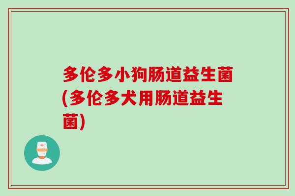 多伦多小狗肠道益生菌(多伦多犬用肠道益生菌)