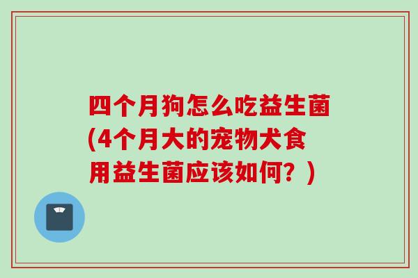四个月狗怎么吃益生菌(4个月大的宠物犬食用益生菌应该如何？)