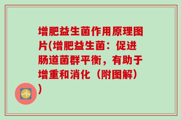 增肥益生菌作用原理图片(增肥益生菌：促进肠道菌群平衡，有助于增重和消化（附图解）)