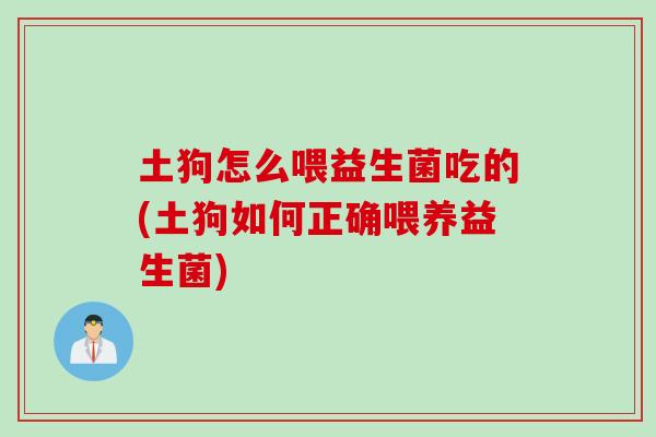 土狗怎么喂益生菌吃的(土狗如何正确喂养益生菌)
