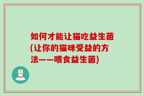 如何才能让猫吃益生菌(让你的猫咪受益的方法——喂食益生菌)