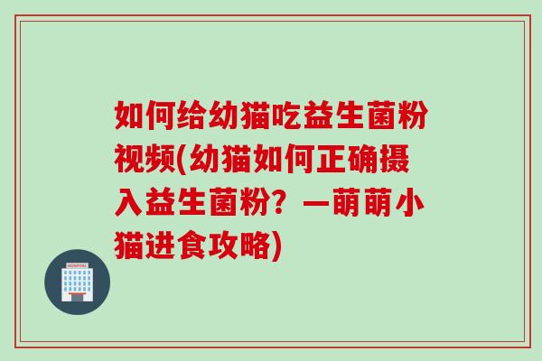 如何给幼猫吃益生菌粉视频(幼猫如何正确摄入益生菌粉?—萌萌小猫进食攻略) 如何给幼猫吃益生菌粉视频(幼猫如何正确摄入益生菌粉?—萌萌小猫进食攻略)