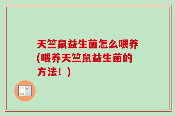 天竺鼠益生菌怎么喂养(喂养天竺鼠益生菌的方法！)