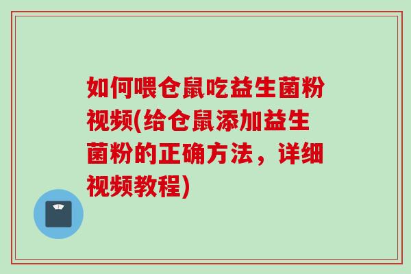 如何喂仓鼠吃益生菌粉视频(给仓鼠添加益生菌粉的正确方法,详细视频教程) 如何喂仓鼠吃益生菌粉视频(给仓鼠添加益生菌粉的正确方法,详细视频教程)