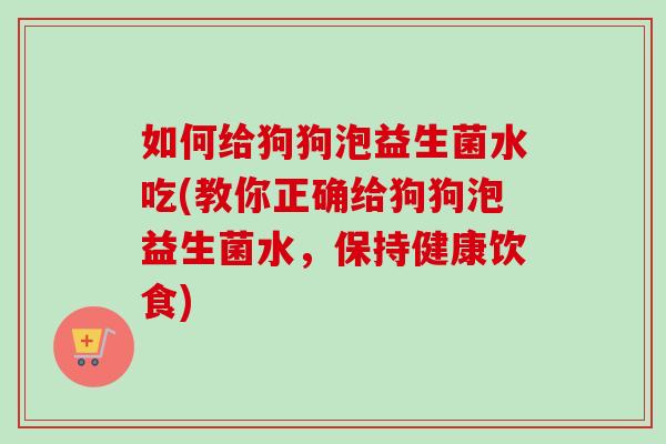 如何给狗狗泡益生菌水吃(教你正确给狗狗泡益生菌水，保持健康饮食)