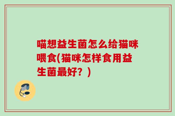 喵想益生菌怎么给猫咪喂食(猫咪怎样食用益生菌好？)
