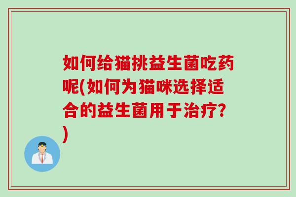 如何给猫挑益生菌吃药呢(如何为猫咪选择适合的益生菌用于?) 如何给猫挑益生菌吃药呢(如何为猫咪选择适合的益生菌用于?)