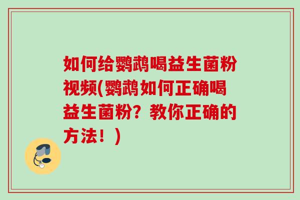 如何给鹦鹉喝益生菌粉视频(鹦鹉如何正确喝益生菌粉？教你正确的方法！)