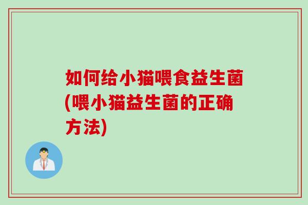 如何给小猫喂食益生菌(喂小猫益生菌的正确方法)