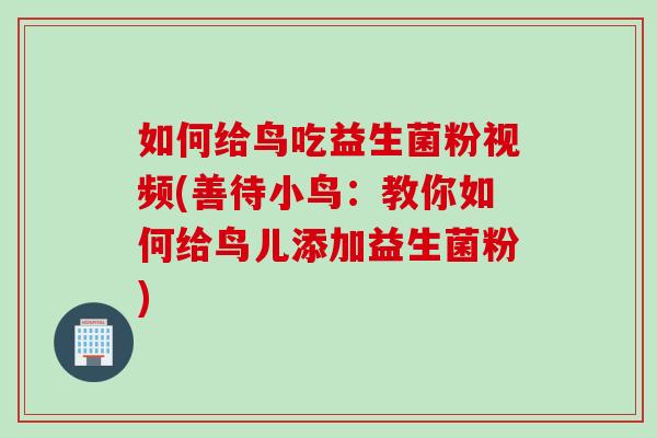 如何给鸟吃益生菌粉视频(善待小鸟：教你如何给鸟儿添加益生菌粉)