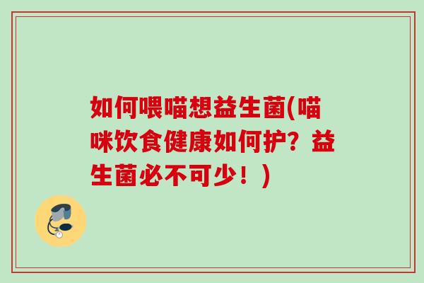 如何喂喵想益生菌(喵咪饮食健康如何护？益生菌必不可少！)