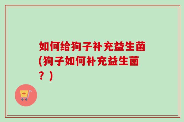 如何给狗子补充益生菌(狗子如何补充益生菌？)