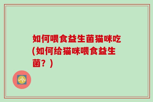 如何喂食益生菌猫咪吃(如何给猫咪喂食益生菌？)