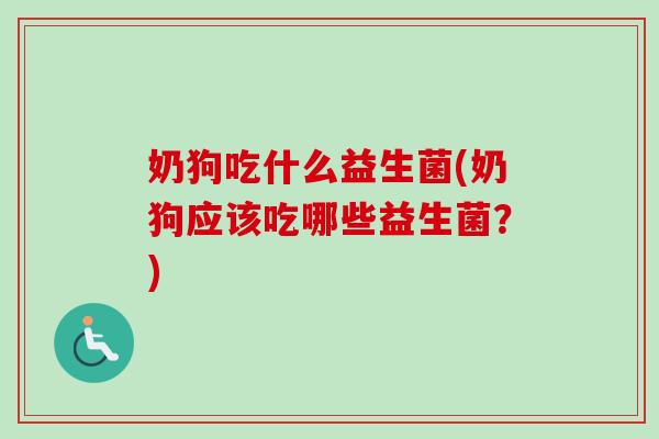 奶狗吃什么益生菌(奶狗应该吃哪些益生菌？)