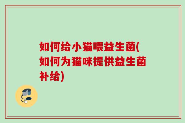 如何给小猫喂益生菌(如何为猫咪提供益生菌补给)