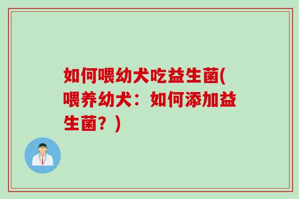 如何喂幼犬吃益生菌(喂养幼犬：如何添加益生菌？)