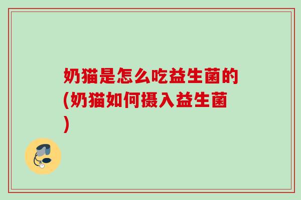 奶猫是怎么吃益生菌的(奶猫如何摄入益生菌) 奶猫是怎么吃益生菌的(奶猫如何摄入益生菌)