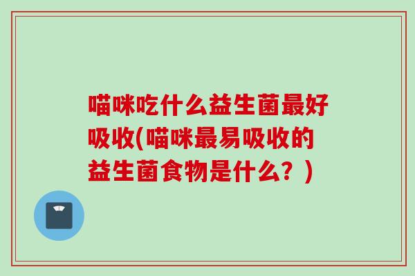 喵咪吃什么益生菌好吸收(喵咪易吸收的益生菌食物是什么？)