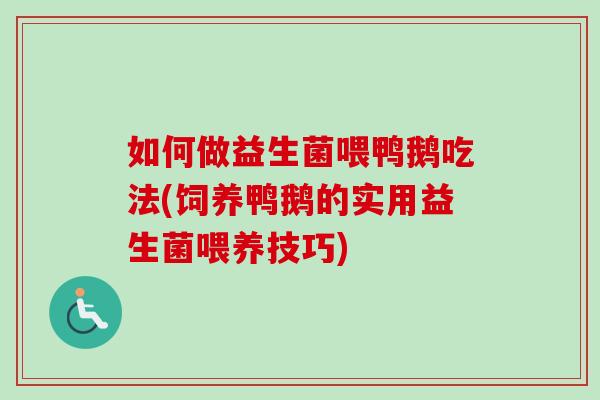 如何做益生菌喂鸭鹅吃法(饲养鸭鹅的实用益生菌喂养技巧) 如何做益生菌喂鸭鹅吃法(饲养鸭鹅的实用益生菌喂养技巧)