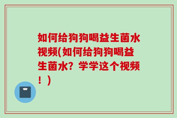 如何给狗狗喝益生菌水视频(如何给狗狗喝益生菌水?学学这个视频!) 如何给狗狗喝益生菌水视频(如何给狗狗喝益生菌水?学学这个视频!)