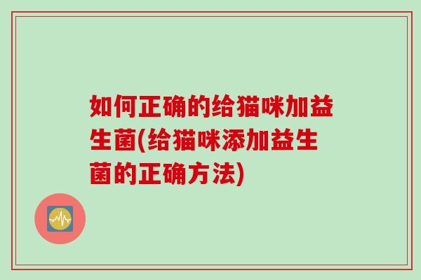 如何正确的给猫咪加益生菌(给猫咪添加益生菌的正确方法)