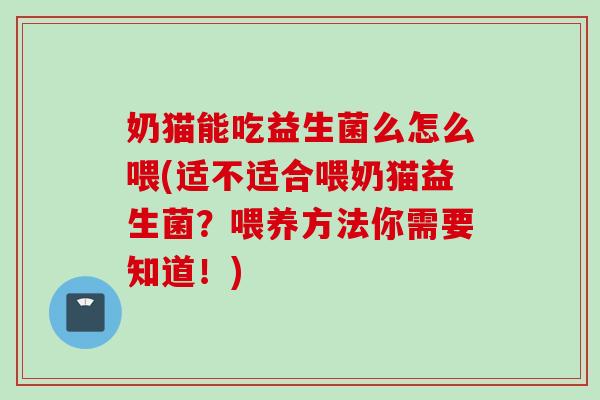 奶猫能吃益生菌么怎么喂(适不适合喂奶猫益生菌?喂养方法你需要知道!) 奶猫能吃益生菌么怎么喂(适不适合喂奶猫益生菌?喂养方法你需要知道!)