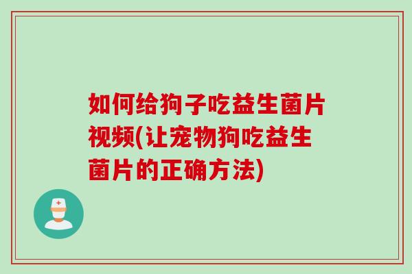 如何给狗子吃益生菌片视频(让宠物狗吃益生菌片的正确方法)