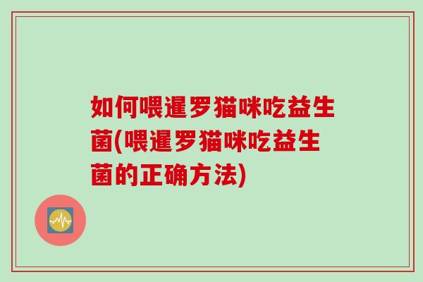 如何喂暹罗猫咪吃益生菌(喂暹罗猫咪吃益生菌的正确方法) 如何喂暹罗猫咪吃益生菌(喂暹罗猫咪吃益生菌的正确方法)