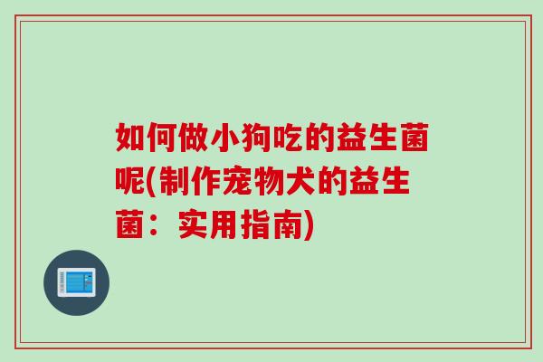 如何做小狗吃的益生菌呢(制作宠物犬的益生菌：实用指南)
