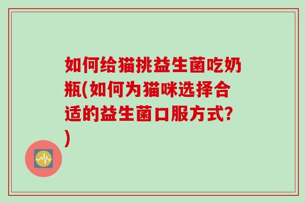 如何给猫挑益生菌吃奶瓶(如何为猫咪选择合适的益生菌口服方式？)