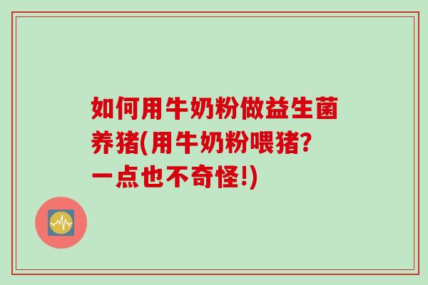 如何用牛奶粉做益生菌养猪(用牛奶粉喂猪?一点也不奇怪!) 如何用牛奶粉做益生菌养猪(用牛奶粉喂猪?一点也不奇怪!)