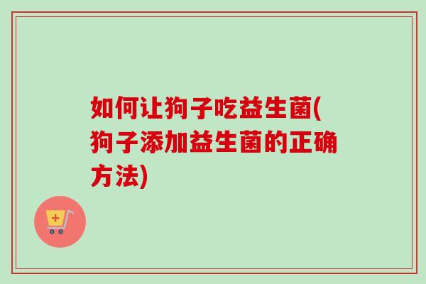 如何让狗子吃益生菌(狗子添加益生菌的正确方法) 如何让狗子吃益生菌(狗子添加益生菌的正确方法)