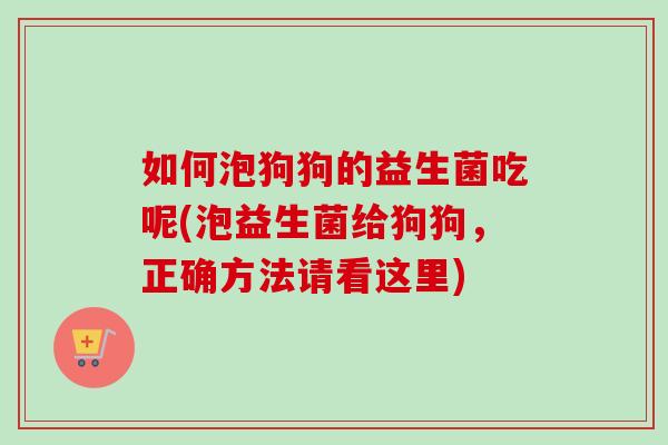 如何泡狗狗的益生菌吃呢(泡益生菌给狗狗,正确方法请看这里) 如何泡狗狗的益生菌吃呢(泡益生菌给狗狗,正确方法请看这里)