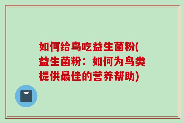 如何给鸟吃益生菌粉(益生菌粉：如何为鸟类提供佳的营养帮助)