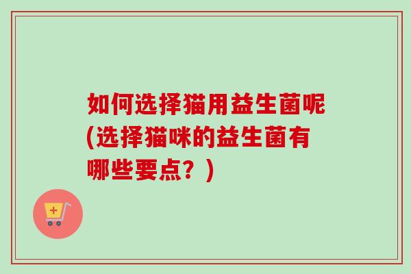 如何选择猫用益生菌呢(选择猫咪的益生菌有哪些要点？)