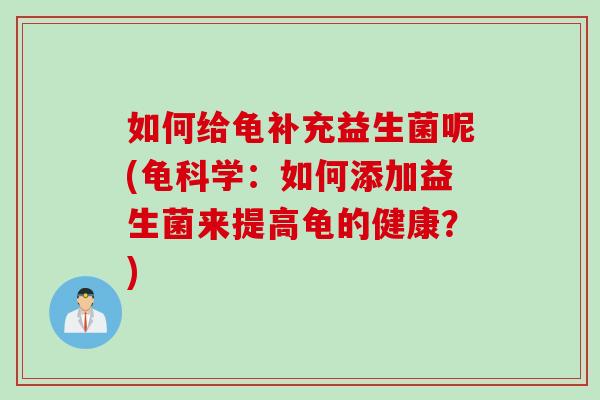 如何给龟补充益生菌呢(龟科学:如何添加益生菌来提高龟的健康?) 如何给龟补充益生菌呢(龟科学:如何添加益生菌来提高龟的健康?)