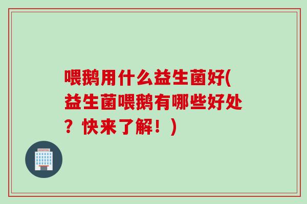 喂鹅用什么益生菌好(益生菌喂鹅有哪些好处?快来了解!) 喂鹅用什么益生菌好(益生菌喂鹅有哪些好处?快来了解!)