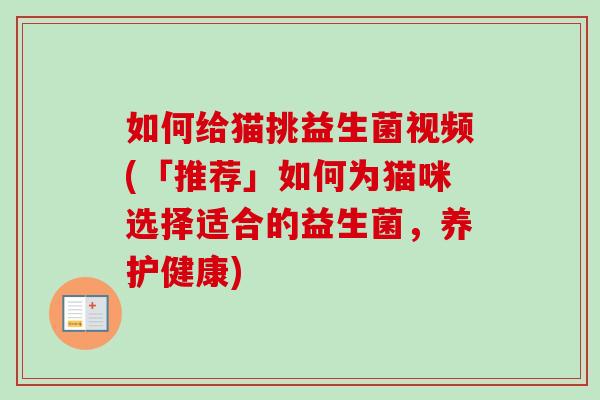如何给猫挑益生菌视频(「推荐」如何为猫咪选择适合的益生菌，养护健康)