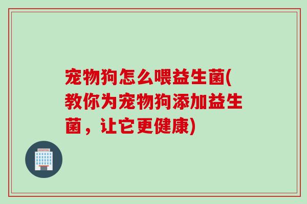 宠物狗怎么喂益生菌(教你为宠物狗添加益生菌，让它更健康)