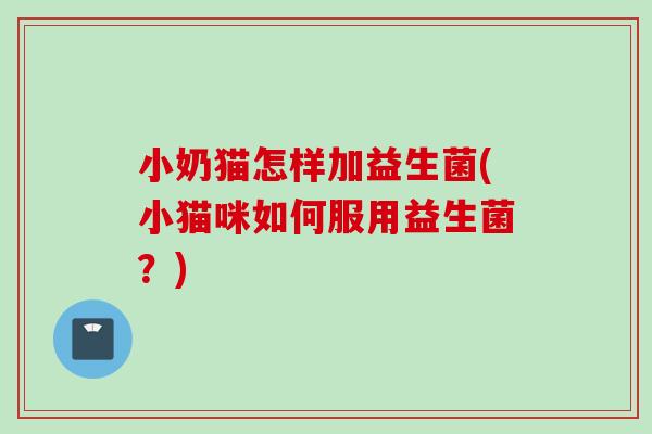 小奶猫怎样加益生菌(小猫咪如何服用益生菌？)