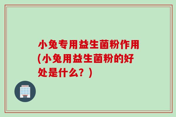 小兔专用益生菌粉作用(小兔用益生菌粉的好处是什么？)