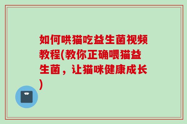 如何哄猫吃益生菌视频教程(教你正确喂猫益生菌，让猫咪健康成长)