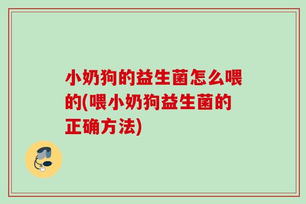 小奶狗的益生菌怎么喂的(喂小奶狗益生菌的正确方法) 小奶狗的益生菌怎么喂的(喂小奶狗益生菌的正确方法)