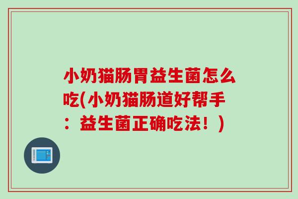 小奶猫肠胃益生菌怎么吃(小奶猫肠道好帮手：益生菌正确吃法！)